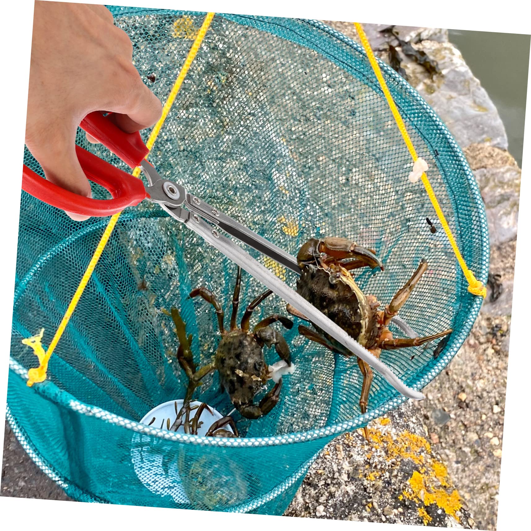 Pince à Crabe en Acier Inoxydable, Outil de Pêche Multifonction