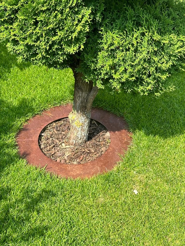Flacher Baumring/Rasenkante - Durchmesser 30/60 cm