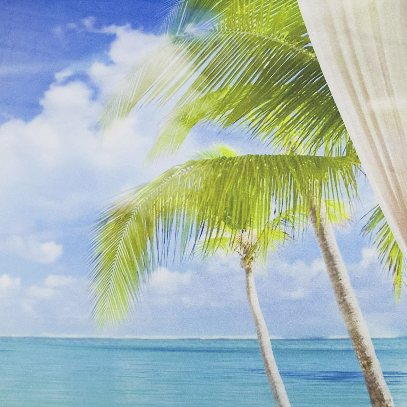 LB 235x180cm Arazzo Oceano turchese Arazzo da Parete Spiaggia Telo da Parete Paesaggio tropicale dell'isola dal balcone Arte Muraria per Soggiorno Camera da Letto Dormitorio Decorazione