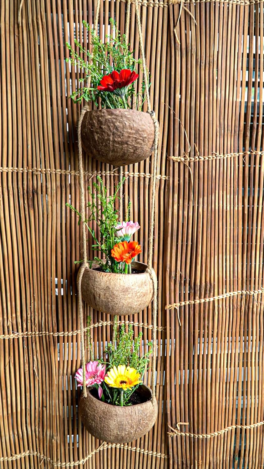 Rainforest Bowls Set of 2 3-Tier Hanging Coconut Planters w/Drainage - Perfect for Succulents, Flowers, Small Plants, Indoor & Outdoor Gardens- Handcarved by Artisans, Eco-Friendly & Sustainable