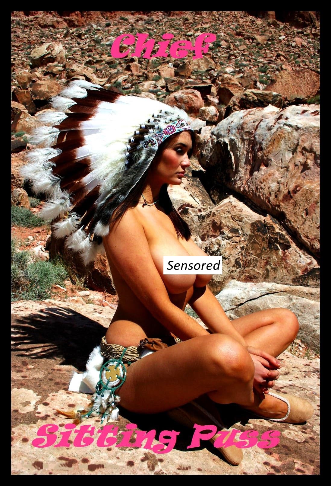Chief Sitting Puss Sexy Native Girl Poster Magnetic Canvas Print Fridge Magnet 6x8 Large