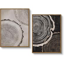 HUARCEY Framed Canvas Art Print Set 2PCS Wood Tree Ring Spiral Wall Art, Modern Neutral Nature Print Set of 2 Minimalist Abstract Nordic Wall Decor, Diptych Log Slice Wood Stump Painting