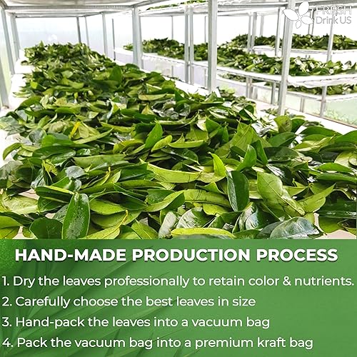 Miniatura 6 de FreshDrinkUS, Té de hojas secas enteras de guanábana, 275-300 hojas enteras de guanábana, graviolaguanábana, elaborada en el medio silvestre,