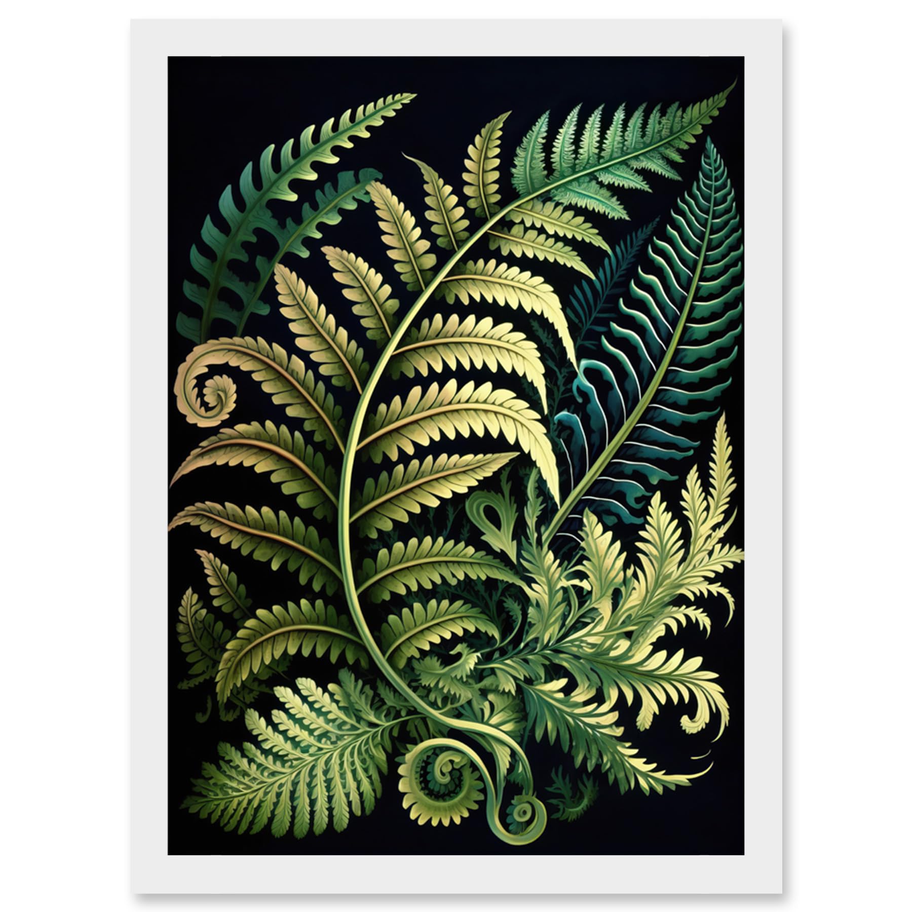 Artery8 Ernst Haeckel Style Fern Fronds Leaf Illustration Artwork Framed Wall Art Print A4