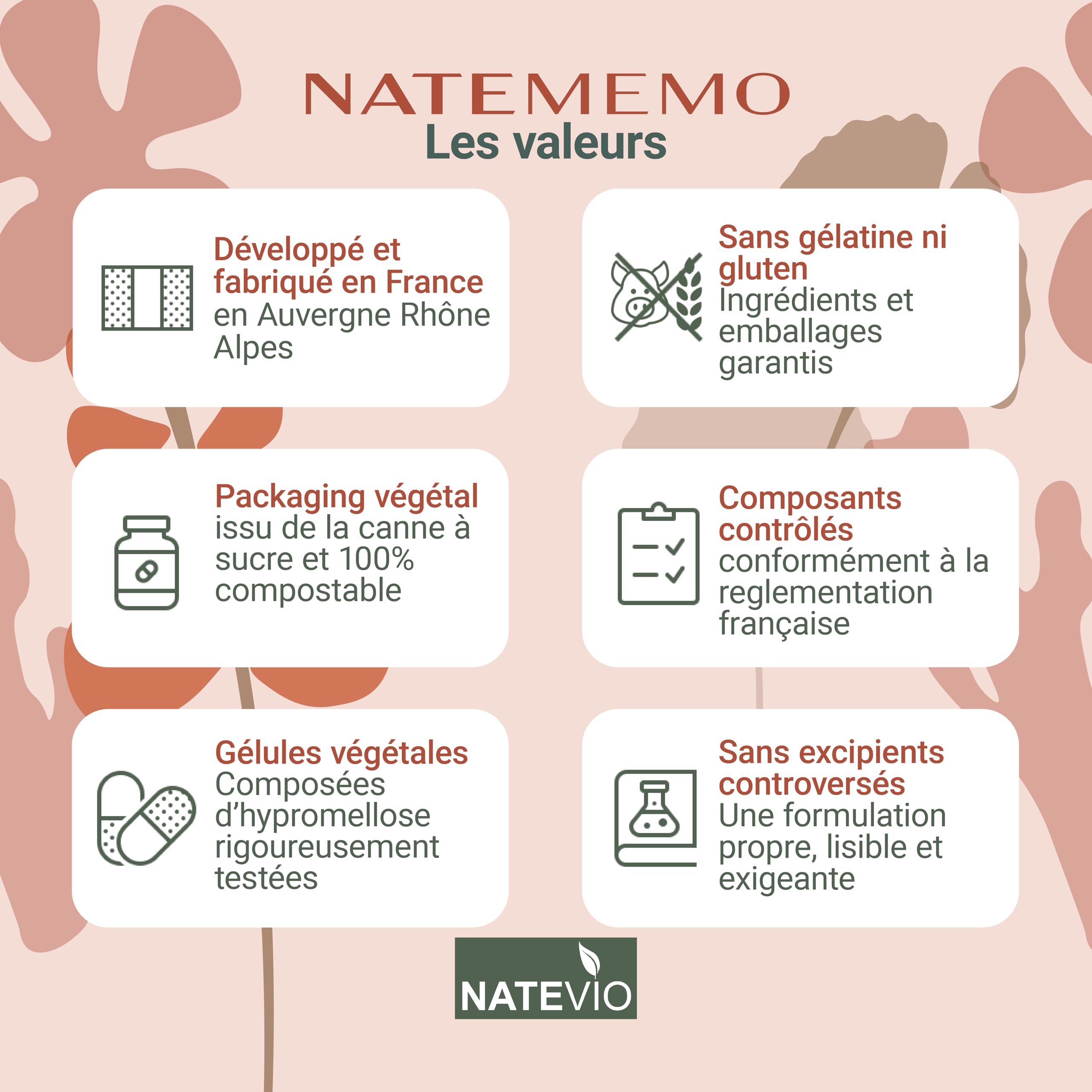 Natemémo – Mémoire & Concentration – Bacopa 500 mg, Ginkgo, Rhodiola, Ginseng – 120 Gélules Végétales – Complément Alimentaire Naturel - Sans Caféine - Made in France