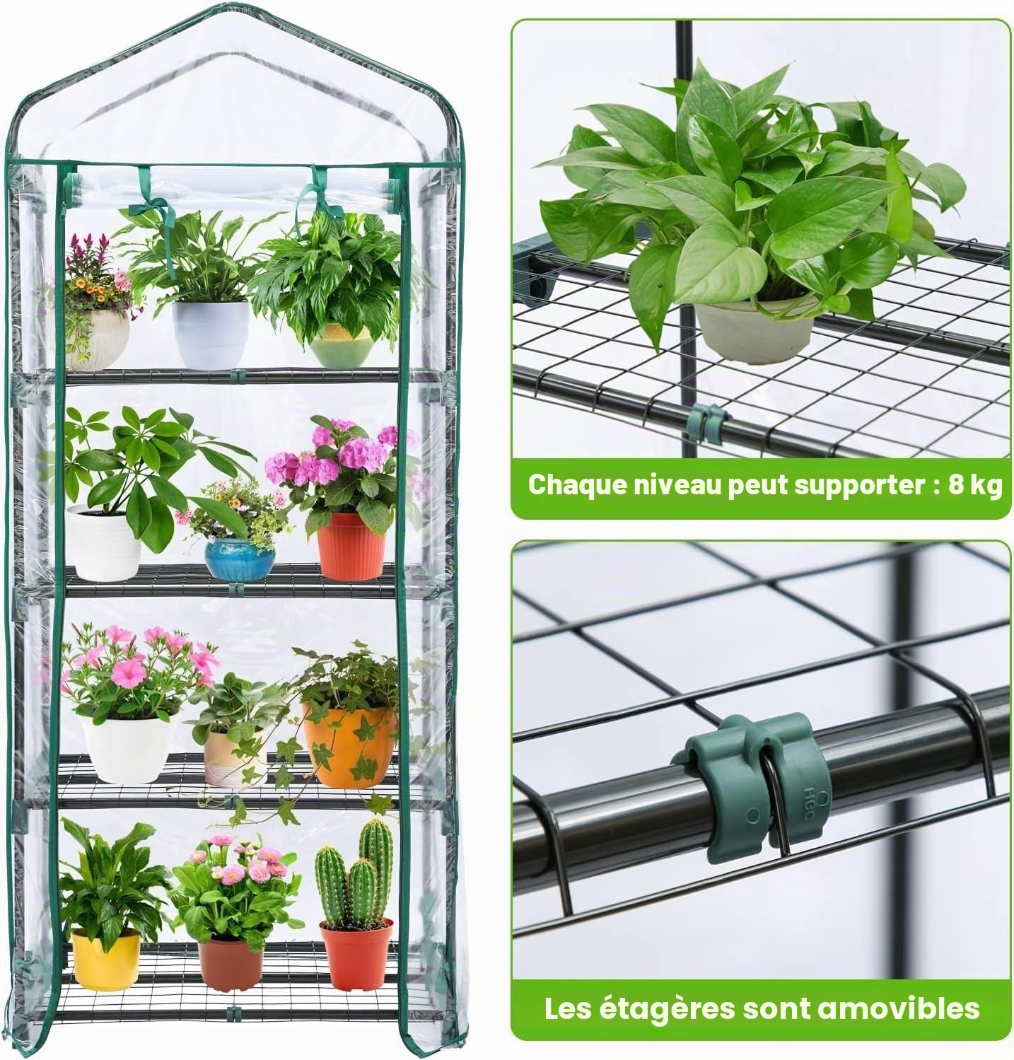 LATERN 4 Niveaux Mini Serre, 160CM x 70CM x 50CM Petite Serre Étagères Cadre et Transparent Imperméabiliser PVC Couverture avec Enroulable Zippée Porte pour Protection Contre Froid Gel Vent Pluie