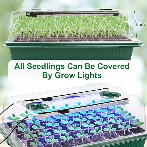 Miniatura 5 de NEWKITS 2 Packs Starter Tray with Grow Light, 80 Cells Seed Starter Kits with Humidity Dome and Base Plant Germination Seedling Starter Kit with