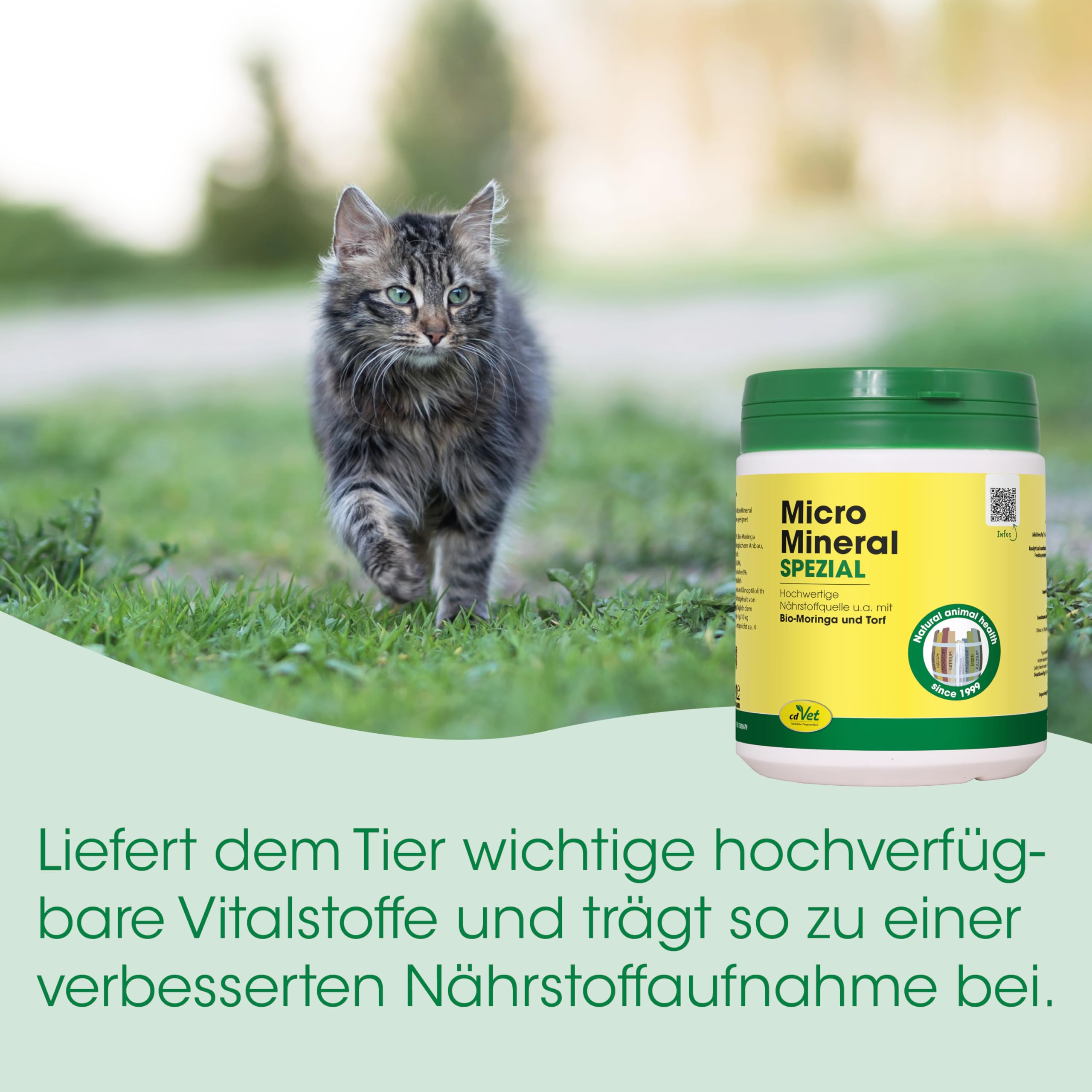 cdVet Naturprodukte MicroMineral Spezial 2,5 kg - Hund, Katze, Pferd - Vitamin- Mineralstoff- und Spurenelementgeber - Magen-Darm Regulation - Eisenquelle - Zellschutz - Muskelaufbau - Vitalität -
