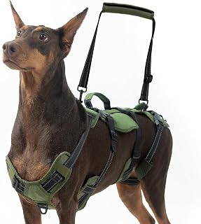 BINGPET Dog Lift Harness for Large Dogs,Full Body Support Rehabilitation Dog Sling Carrier with Handles,Reflective Multifunctional Mobility Assistance Vest for Senior Pets Joint Injuries,Arthritis,L