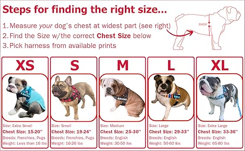 Miniatura 2 de BULLHUG Arnés  Hecho para perros de pecho más grande como bulldogs ingleses, bulldogs franceses, pugs y más. Evita que los perros tiren y se
