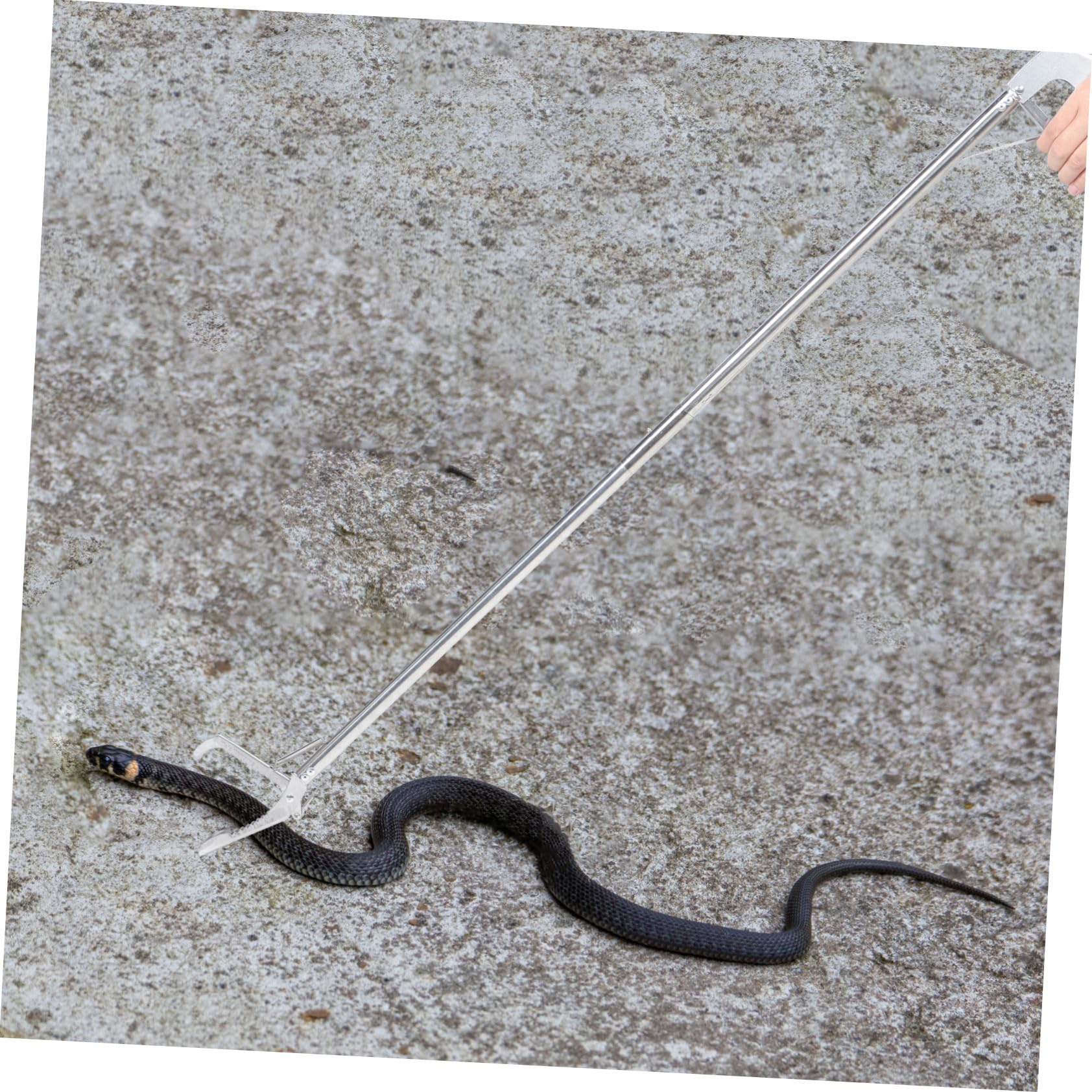 GANAZONO Herramienta para Agarrar Serpientes de Acero Inoxidable, Pinzas Antideslizantes Plegables de 1,2 Metros, Clip Resistente y Seguro para Manipulación de Reptiles en Exteriores