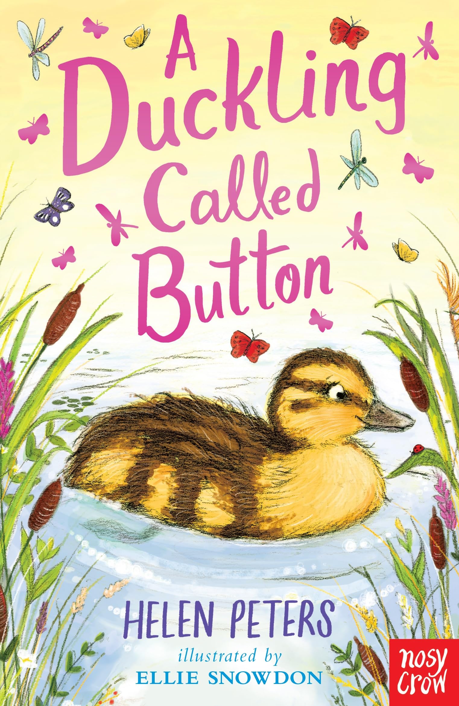 A Duckling Called Button by Helen Peters (Paperback Book)