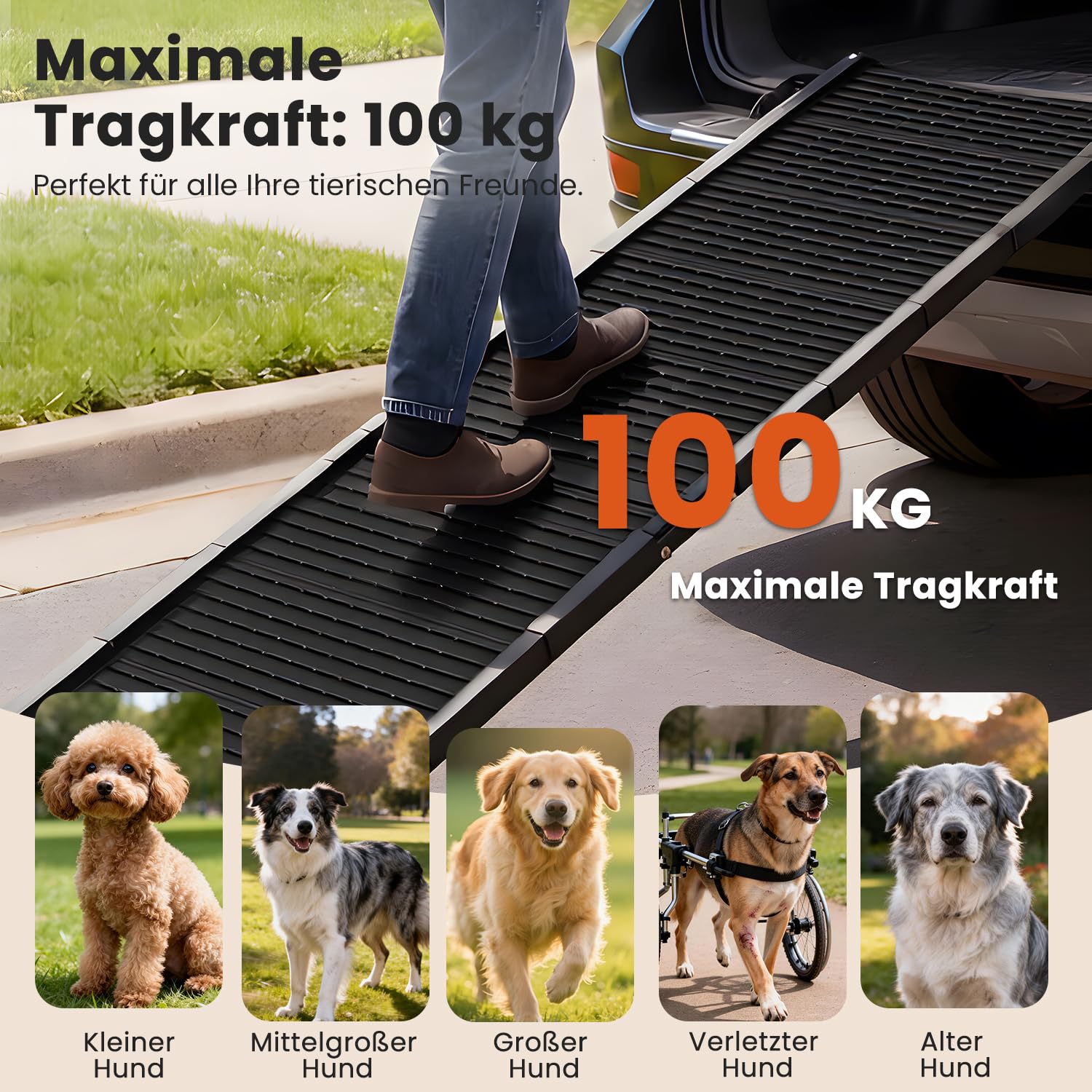 Hundeautorampe 170 x 41 cm,Extralange klappbare Hundetreppe mit Rutschfester Oberfläche, Schwerlast bis 220 lb, tragbare Haustierrampe für SUV, LKW, Bett & Sofa, für mittelgroße & große Hunde