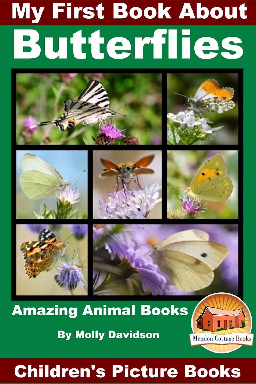 My First Book About Butterflies