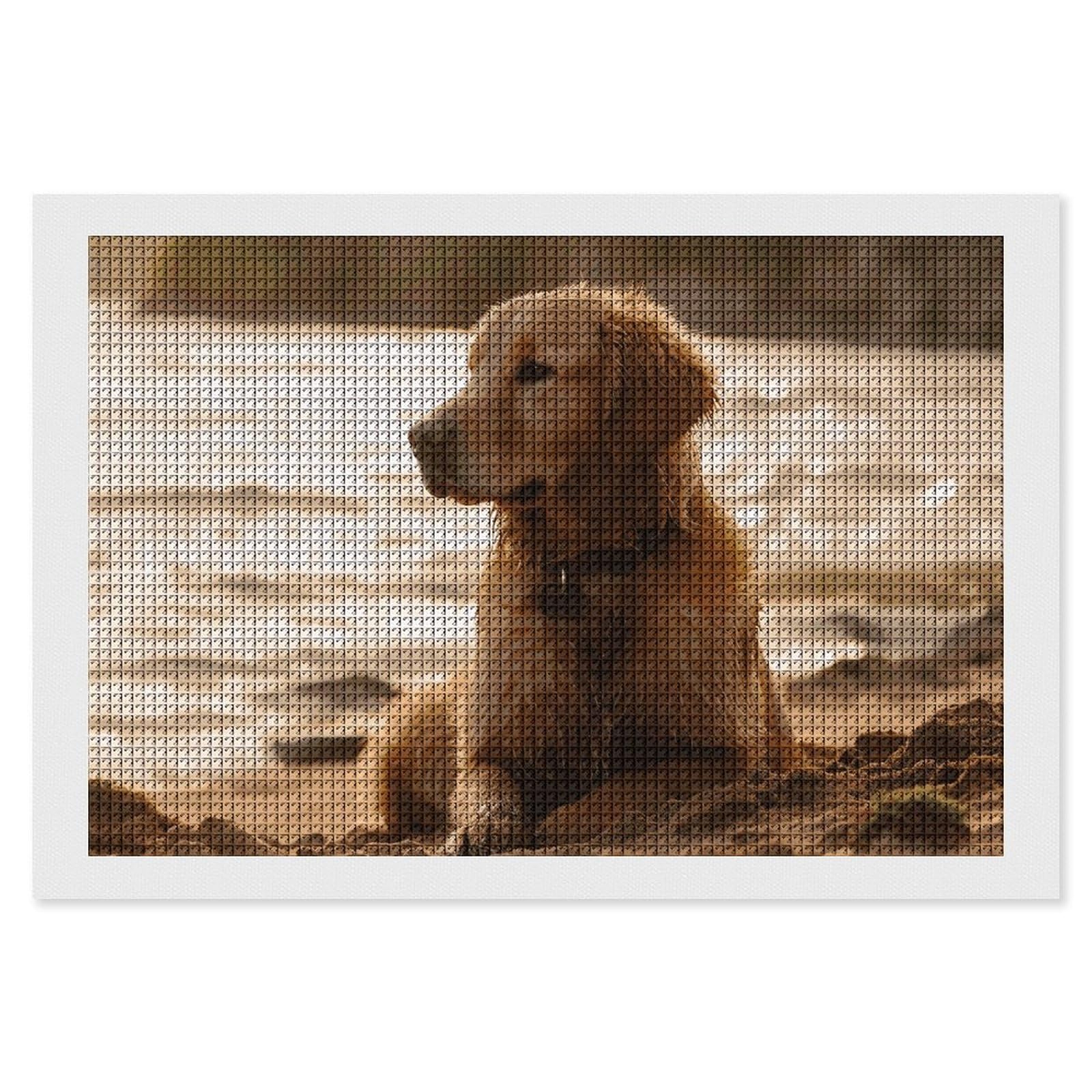 NONHAI Diamond Painting Kits for Adults - DIY Diamond Art Kits for Beginners - Full 5D Paint Drill Diamond Dots Paintings- Retriever Diamonds Pictures Gem Art and Craft Wall Decor 8"x12"
