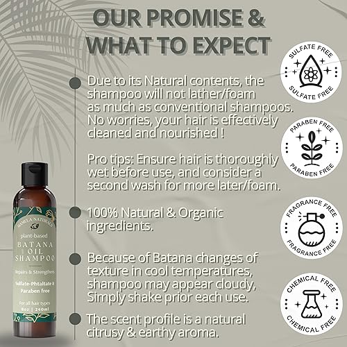 Miniatura 4 de Batana Oil for Hair Growth Shampoo con romero  Champú de aceite de batana sin sulfatos ni parabenos  Champú nutritivo y rejuvenecedor para adelgazar