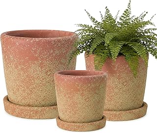 Yungyan Set of 3 Rustic Terracotta Planter Pot and Saucer 5/6/7 Inch Age...