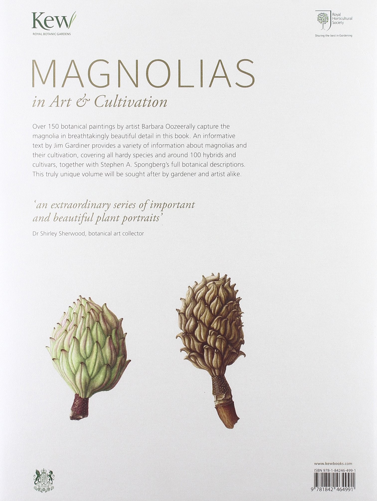 Magnolias