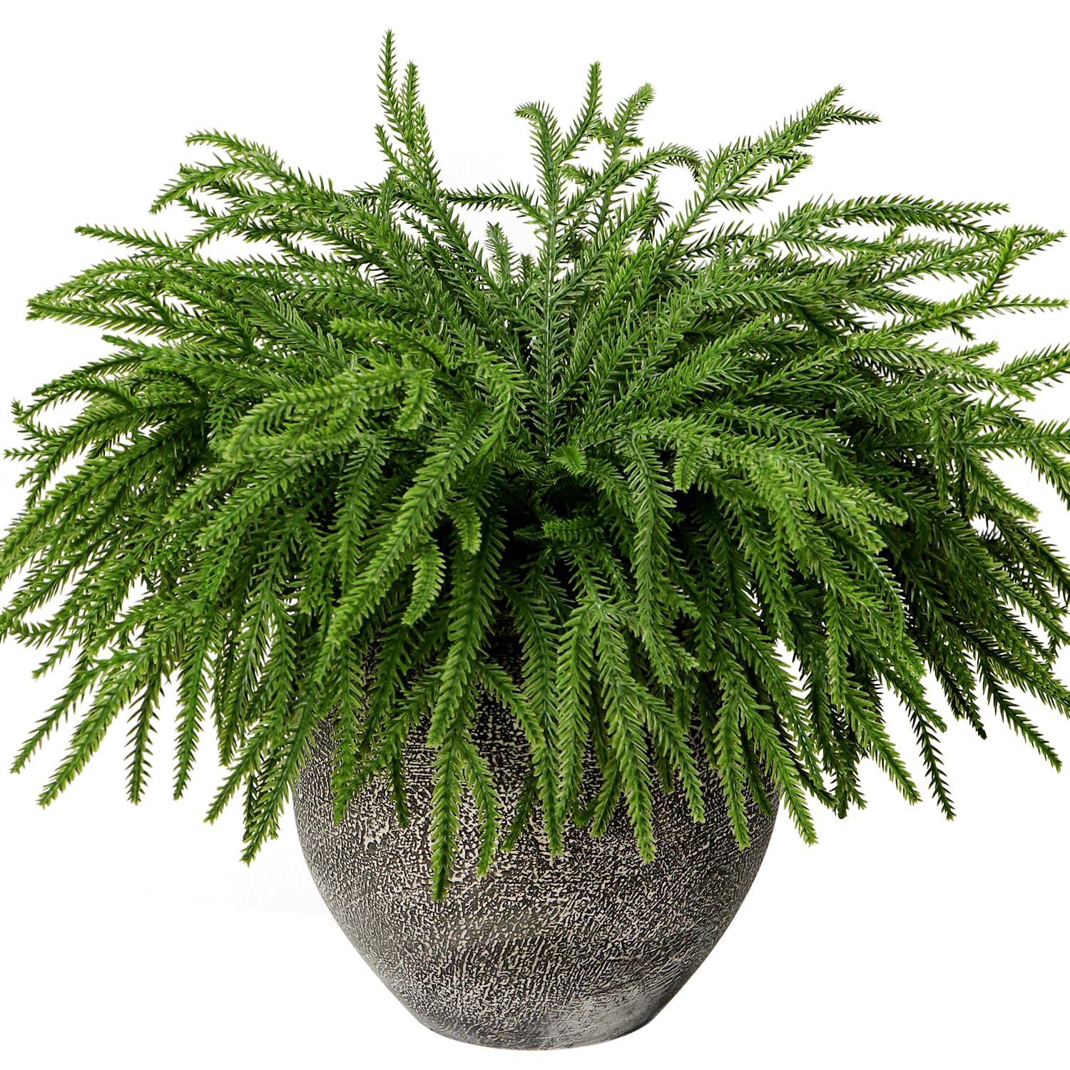 24Pcs Christmas Norfolk Pine Stems 14-Inch Real Touch Christmas Norfolk Pine Branches DIY Crafts Artificial Pine Needle Greenery Picks for Xmas Indoor