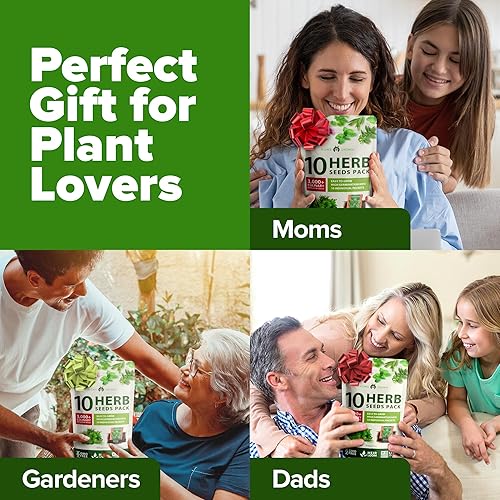 Miniatura 359 de HOME GROWN 12 semillas de vegetales de otoño, más de 6,000 semillas de reliquia para plantar en otoño e invierno, remolacha, brócoli, repollo, col