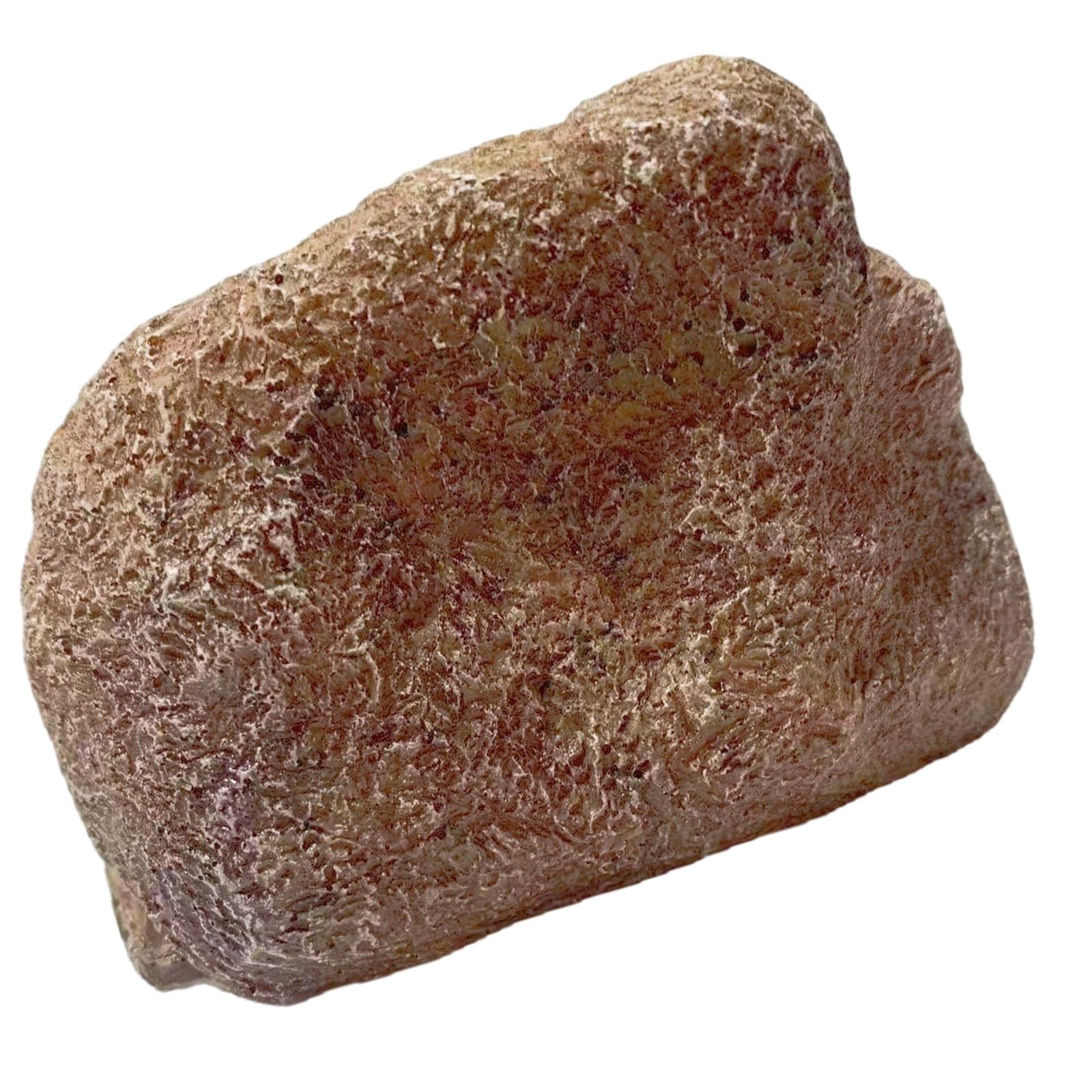 Buxuaaaa Weatherproof Resin Camouflage Stone Container Outdoor Hider for Garden Yard Secure Storage Discreet Designs Weatherproof Resin Garden Hider