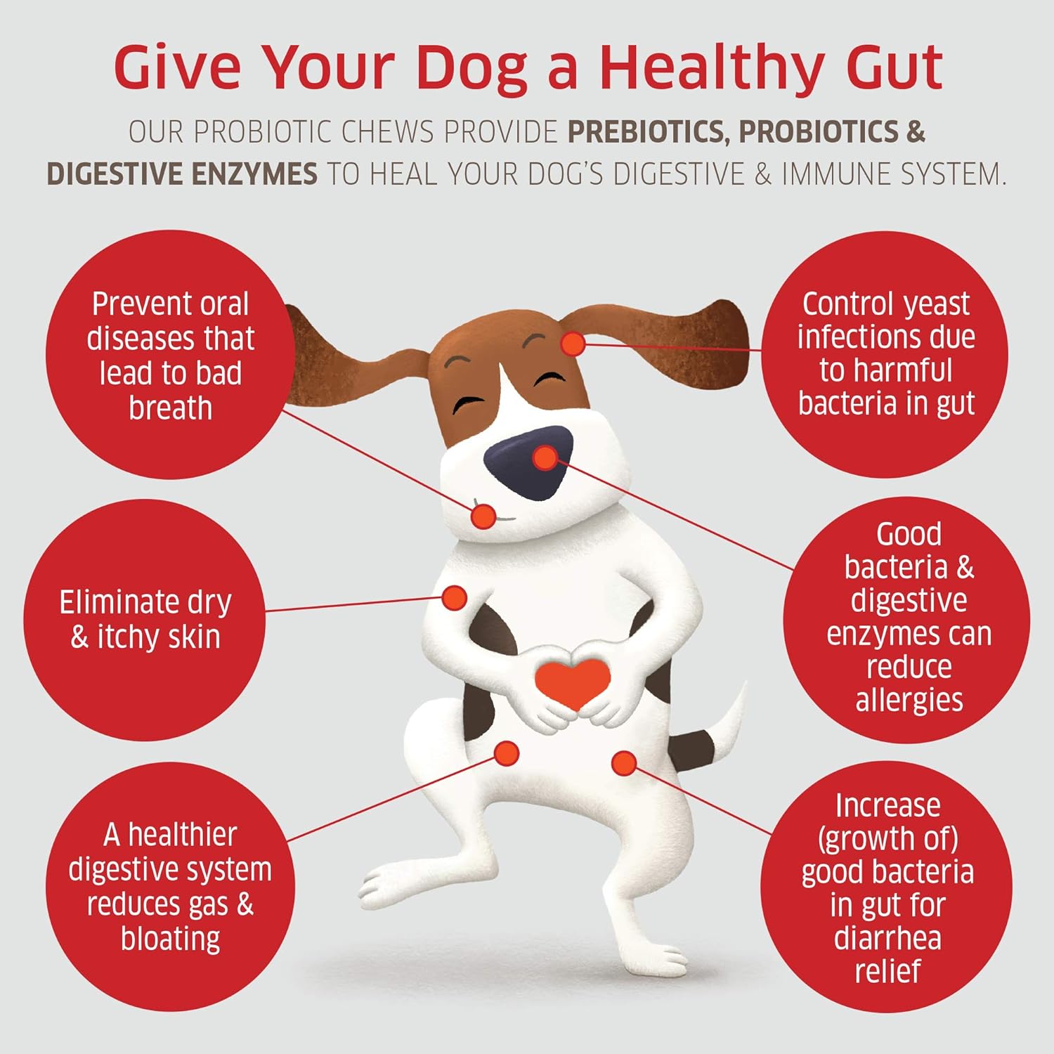 Can Digestive Enzymes Cause Diarrhea In Dogs