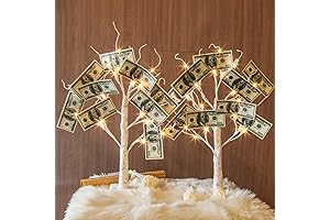 EAMBRITE Money Tree Gift Holder for Memorable Keepsakes