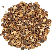 NY Spice Shop Kola Nut Chips - 3 Pound Premium Bitter African Kola Nut Cola nitida Chips - Perfect for Energy Drinks, Teas, Desserts and Cocktails