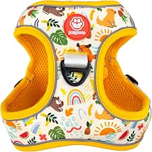 Step in Small Dog Harness No Pull No Choke Reflective Mesh Vest with Front & Back Clips, Comfortable Dog Harness for Small Sized Dog Modern Dog, S