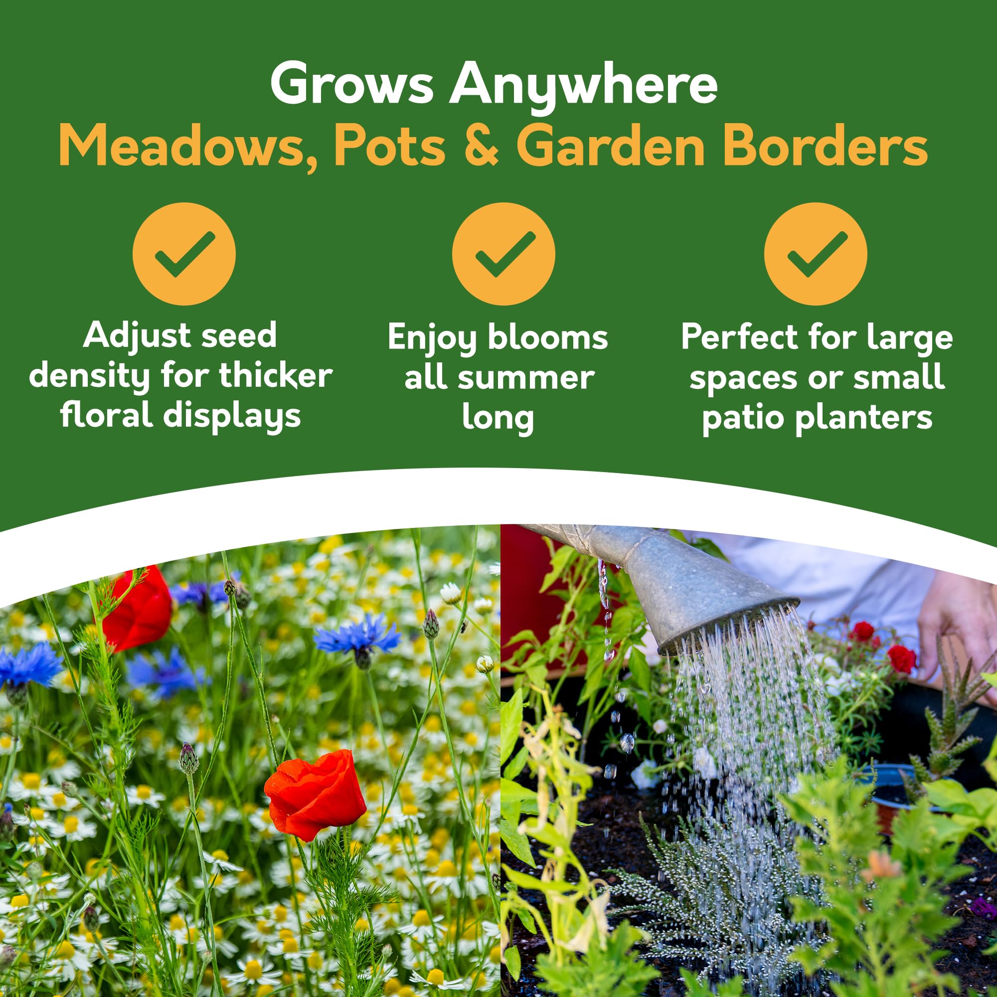 Pronto Seed Wild Flowers Seeds - UK Mixed Variety Pack - Selected Wildflower Seed Mix for Garden & Meadow Areas - Native British Blooms, Covers 25m2 (Meadow Garden) — view 5