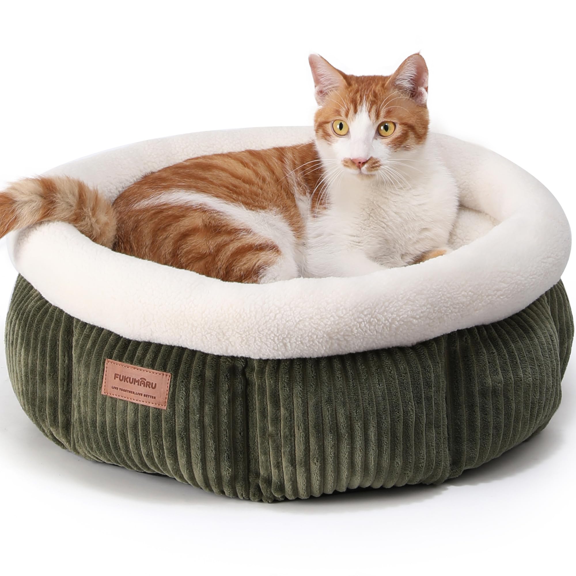 FUKUMARU Lit pour Chat, Panier Rond en Cordon d'Intérieur, Panier Lavable pour Chiot, Lit Doux et Mignon pour Petit Chien, Vert