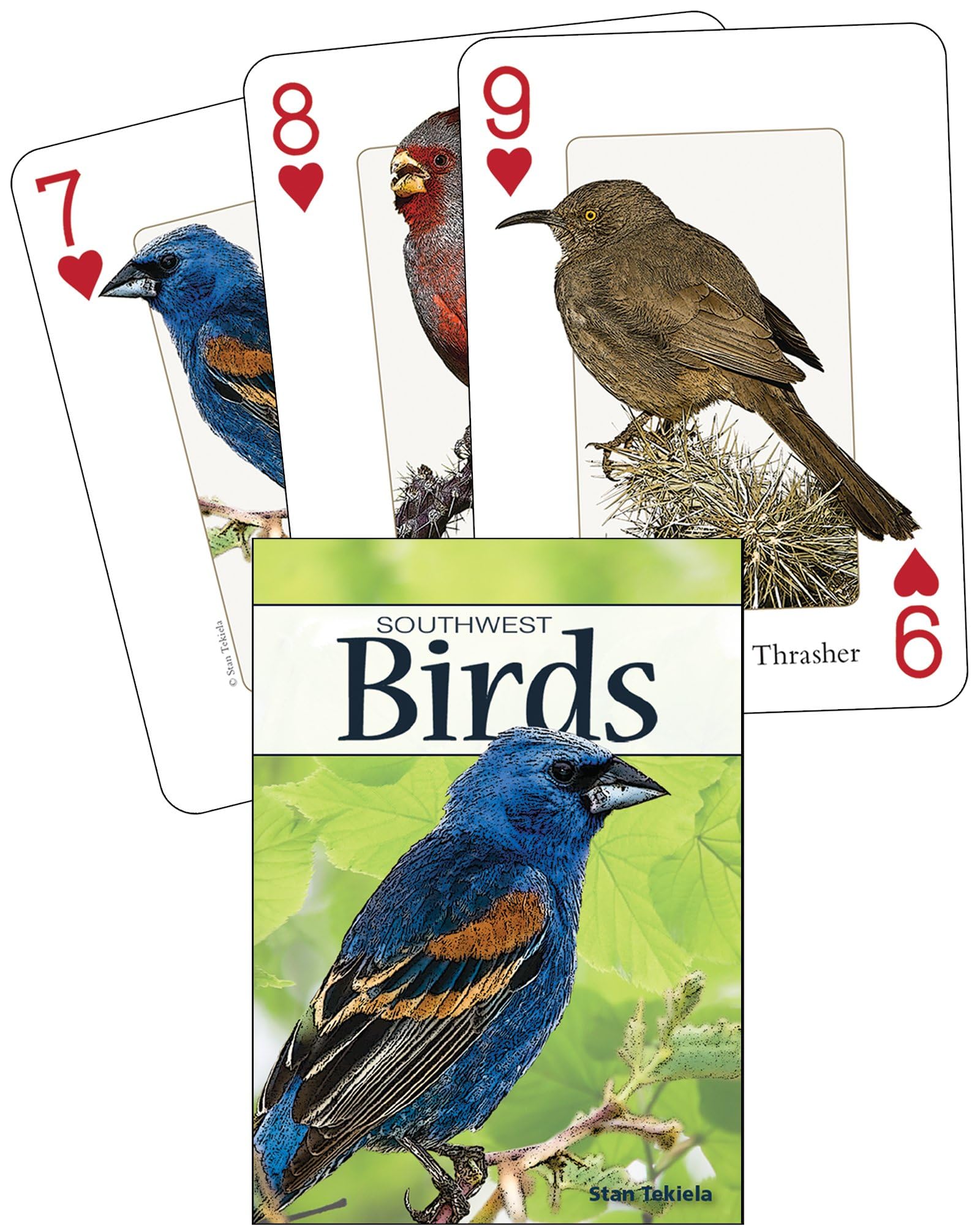 Birds of the Southwest Playing Cards (Nature's Wild Cards) Tekiela