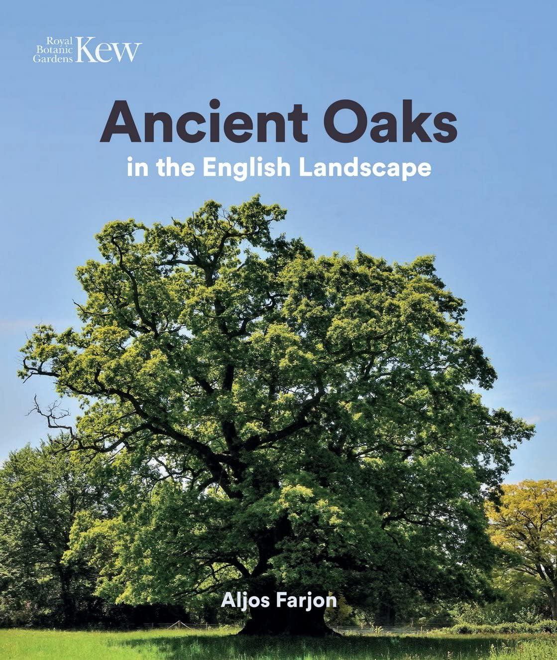 Ancient Oaks in the English Landscape Hardcover – October 15, 2017