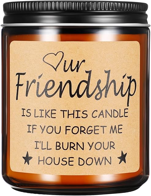 Funny Gifts for Friends,Gifts for Best Friend Women Men,Christmas Gifts for Friends,Funny Birthday Gifts for Friend,Friendship Gifts for Women Candles Gift(Friendship)