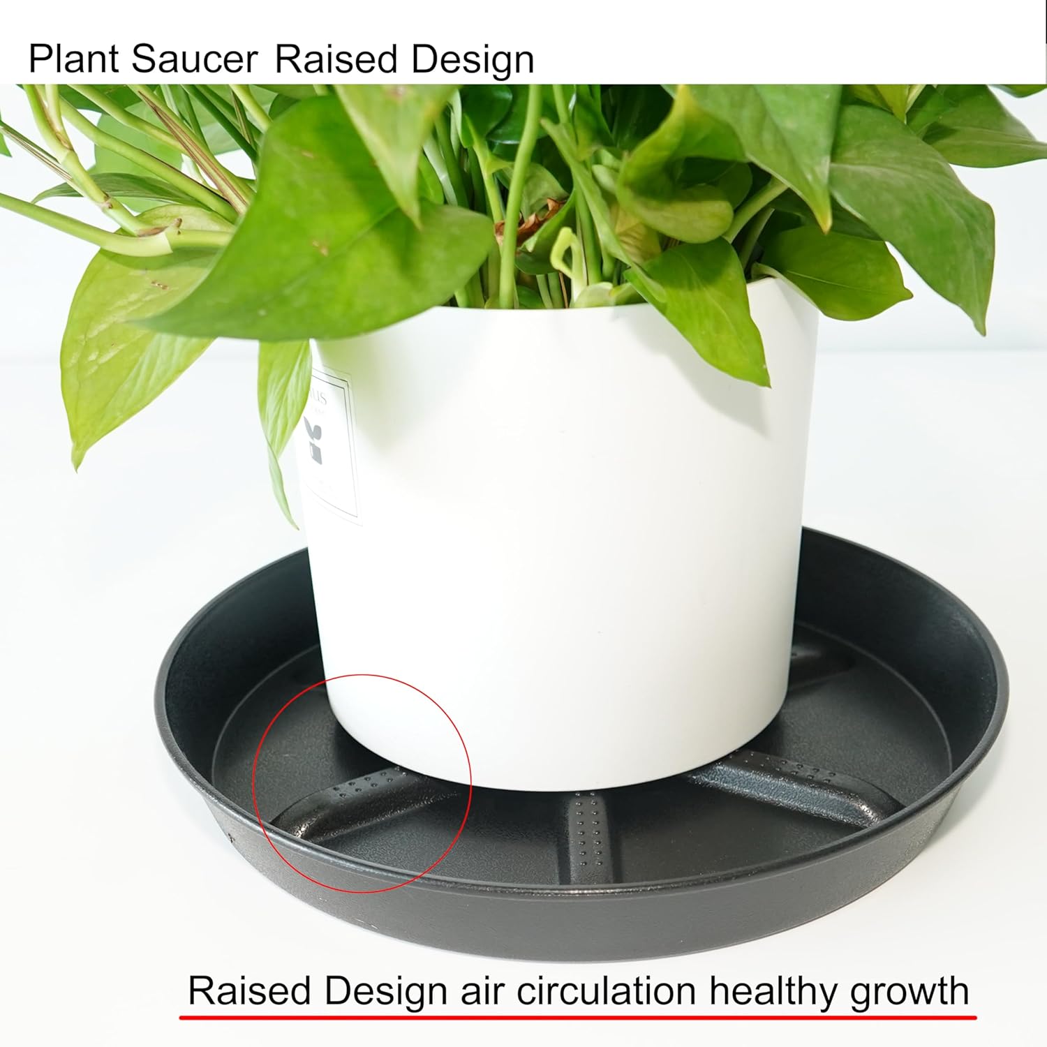 Plant Saucer, Plant Saucers