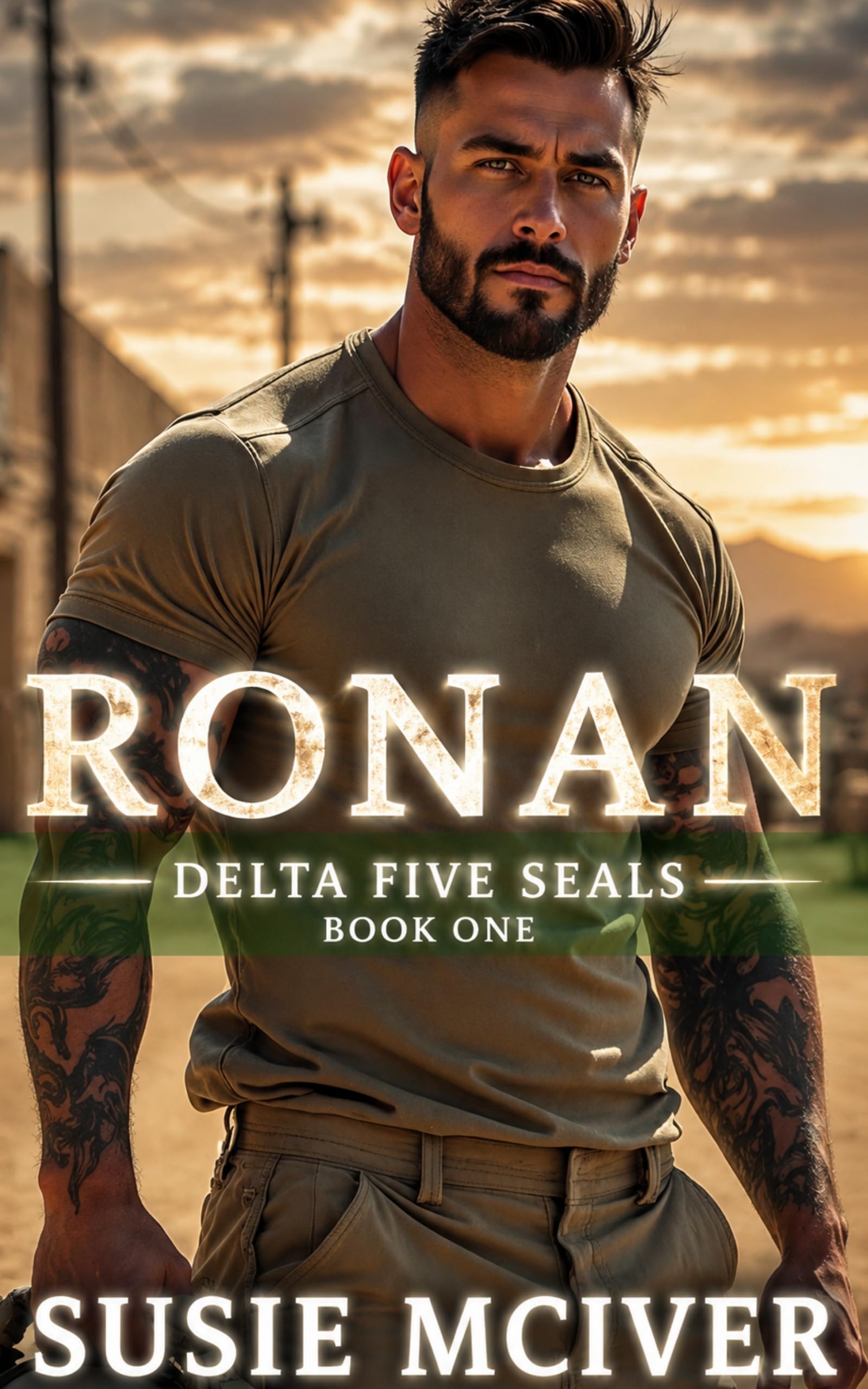 Ronan (Delta Five SEALS Book 1)