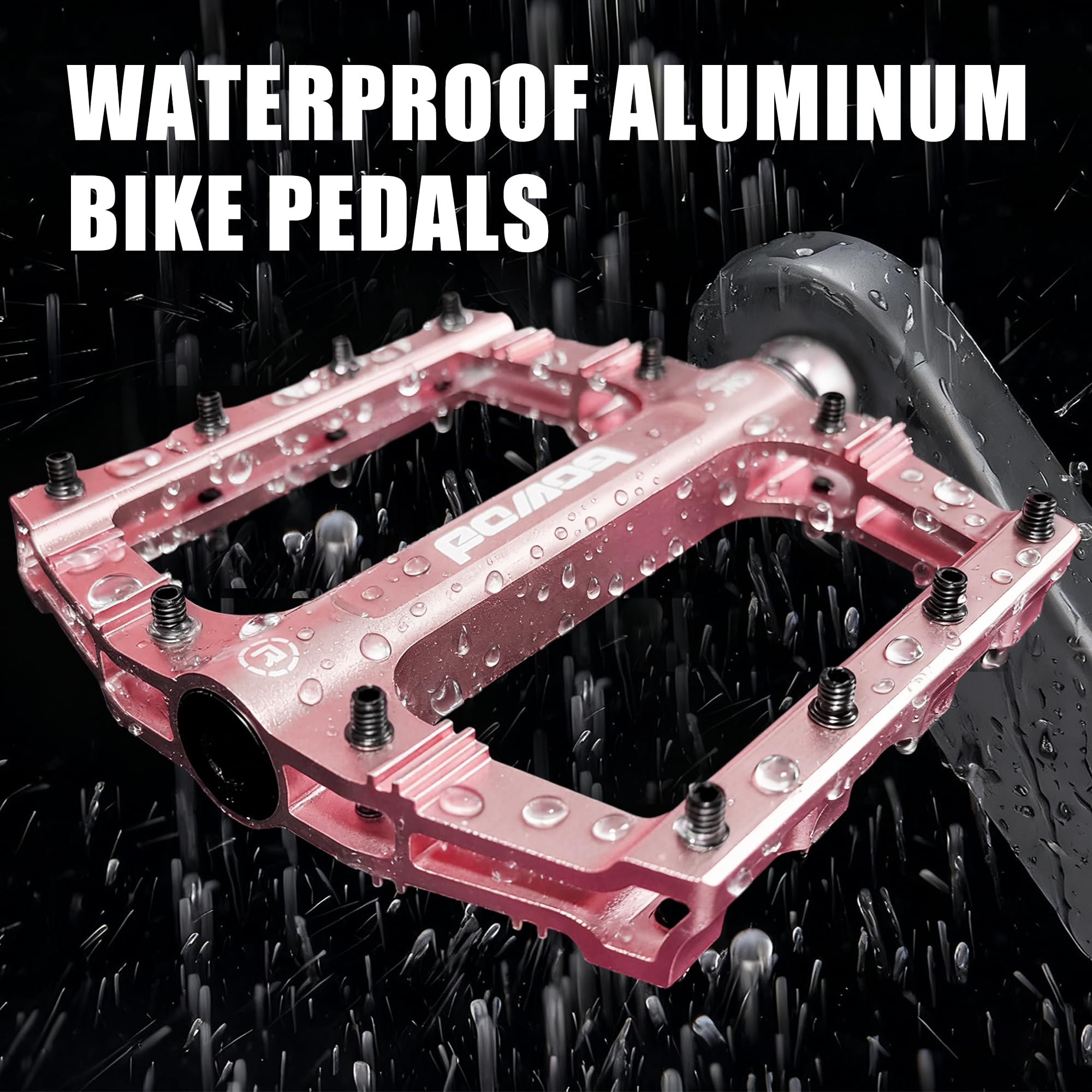 View 6