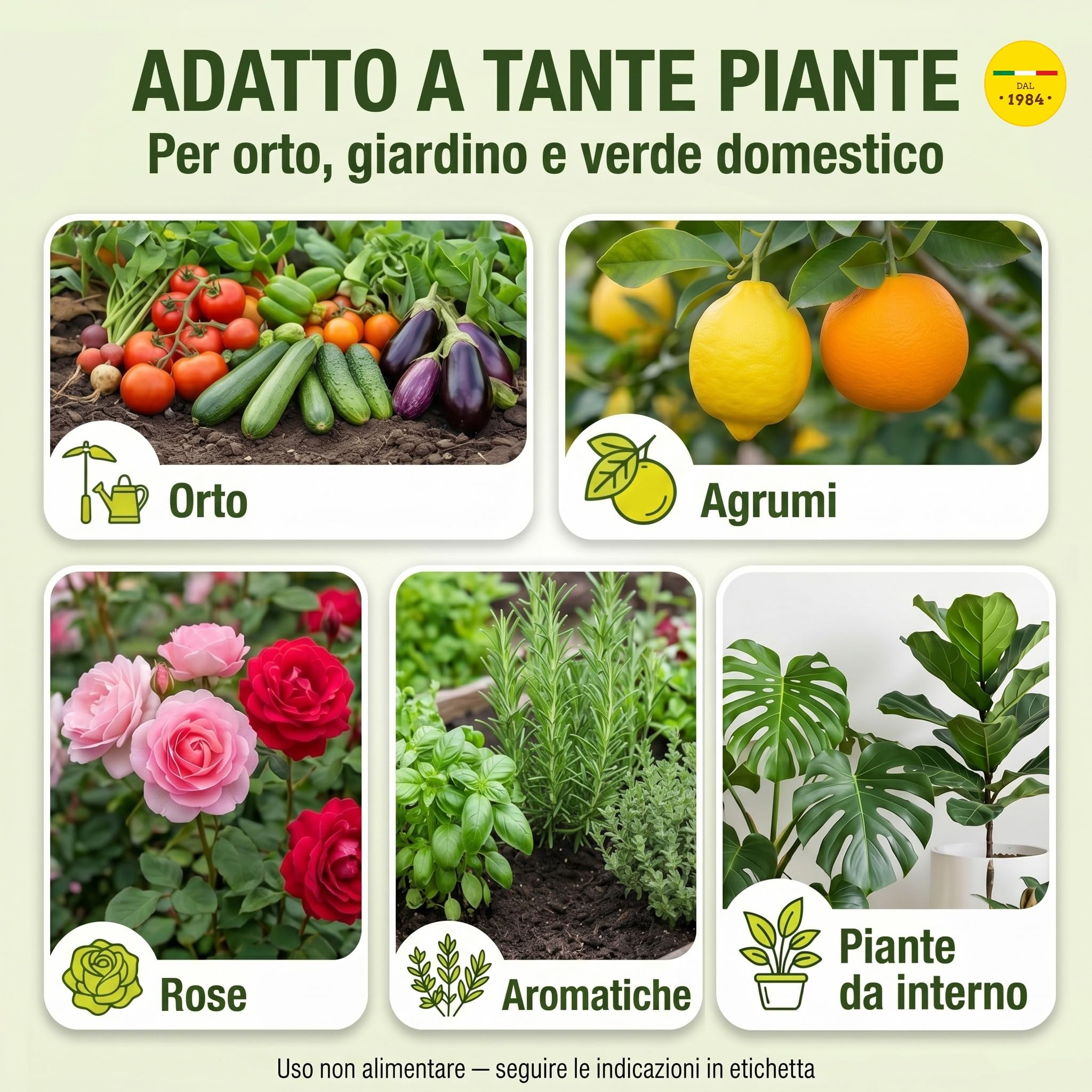 i consigli dell'esperto Los Consejos del Experto Aceite de Neem, 3L