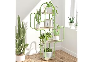 Tikea Unique 4 Tier Cactus Bookshelf