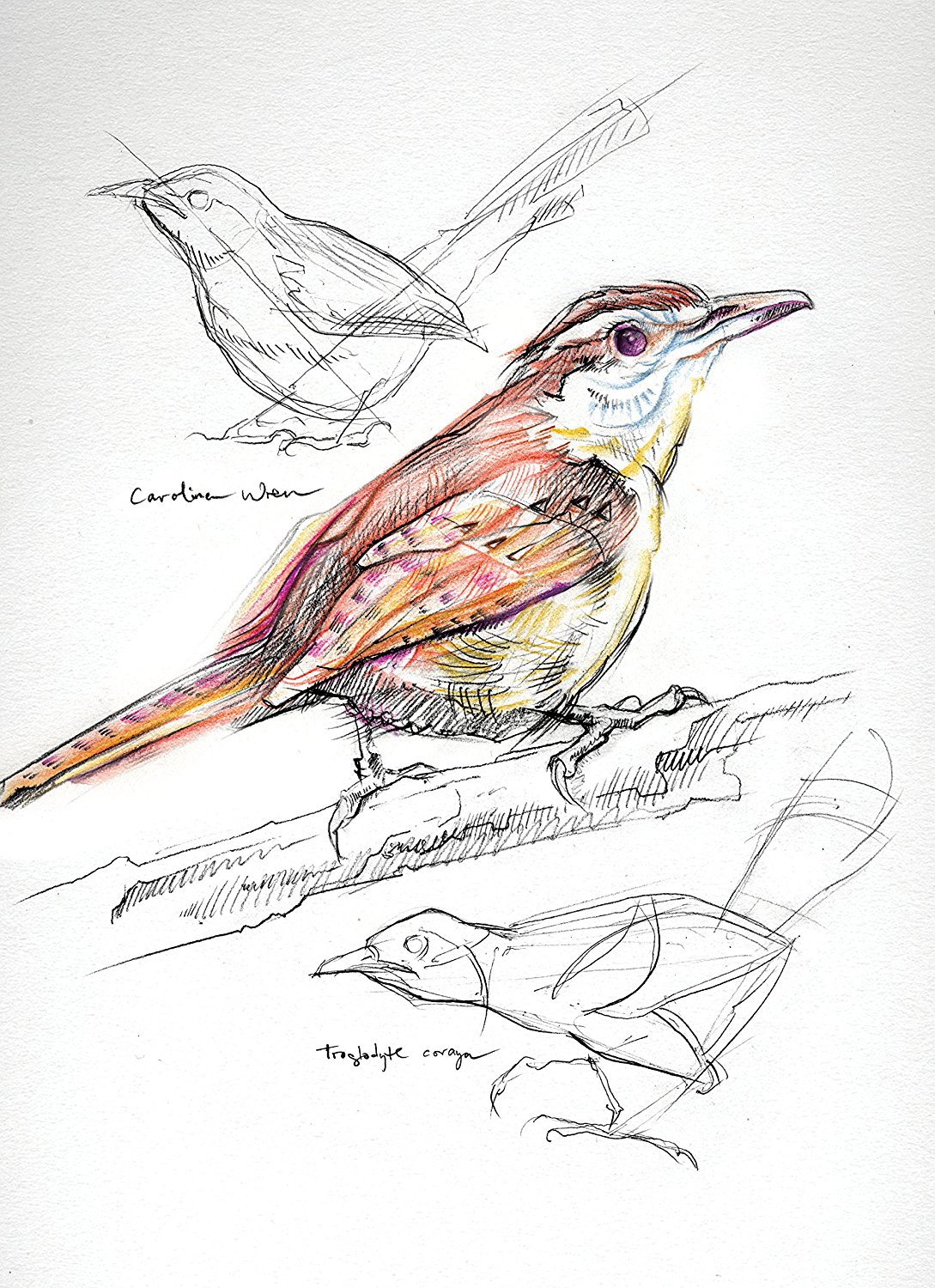 Amazon | Pacon Art1st ミディアムウェイトスケッチブック