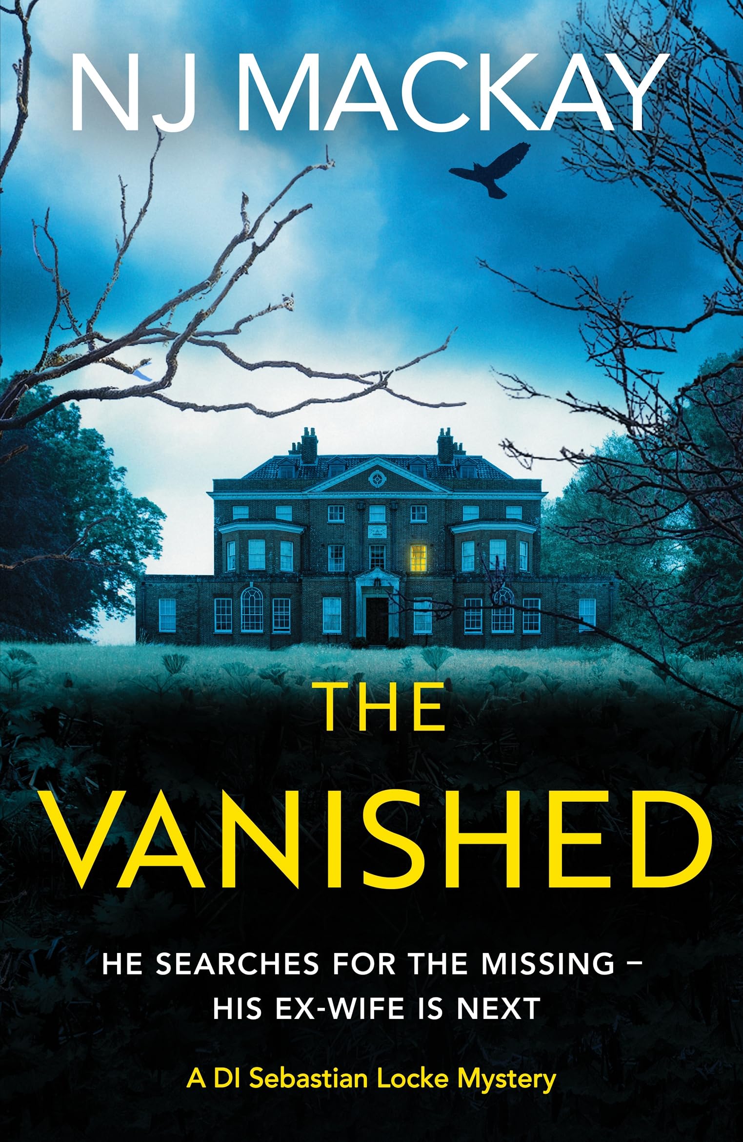 The Vanished: An unputdownable, chilling crime thriller with ple