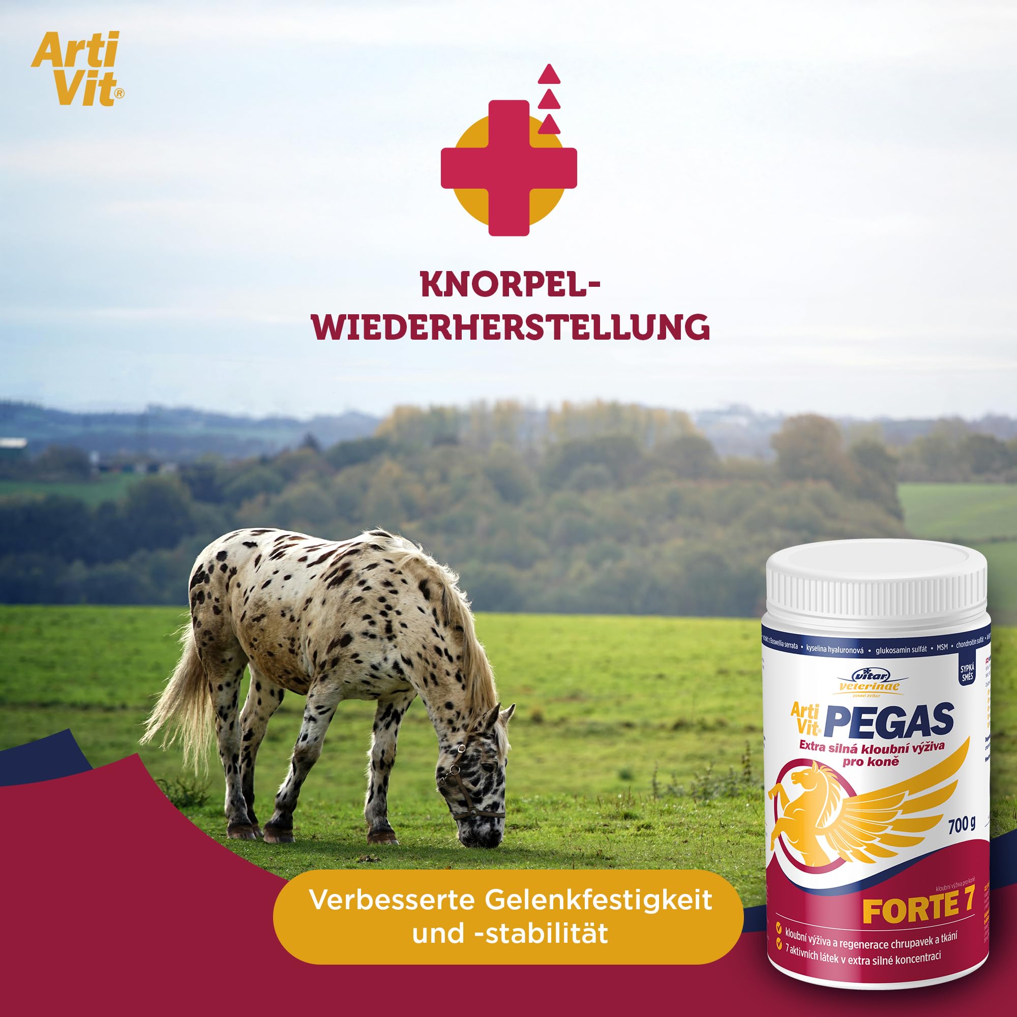 VITAR Veterinae Artivit Pegas Forte 7 extra strong joint nutrition for horses & large dog breeds. Also used by active Athletes.