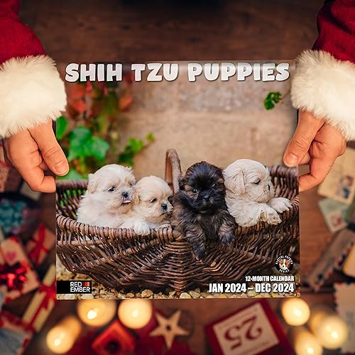 Miniatura 6 de RED EMBER Shih Tzu Puppies - Calendario mensual de pared colgante 2024, 12 x 24 pulgadas, abierto, papel grueso y resistente, para regalo, lindo