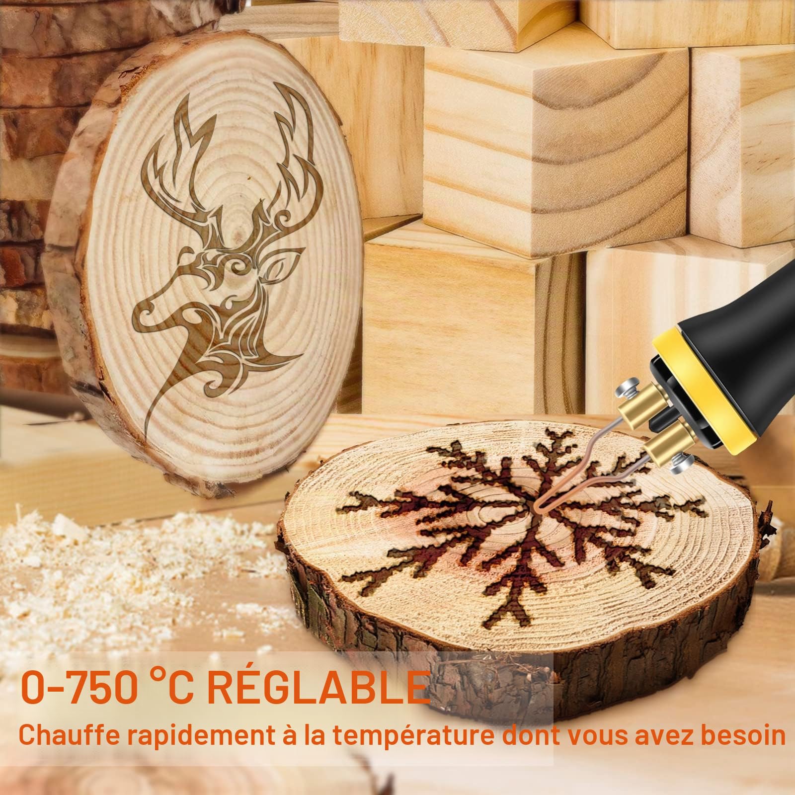 BURNNOVE Double Stylo Pyrograveur sur Bois 60W 220V Kit de Pyrogravure Bois Professionnel aver 33 Pointes de Soudage Utilisation Alternée Plumes Température Réglable pour Souder Liège Cuir