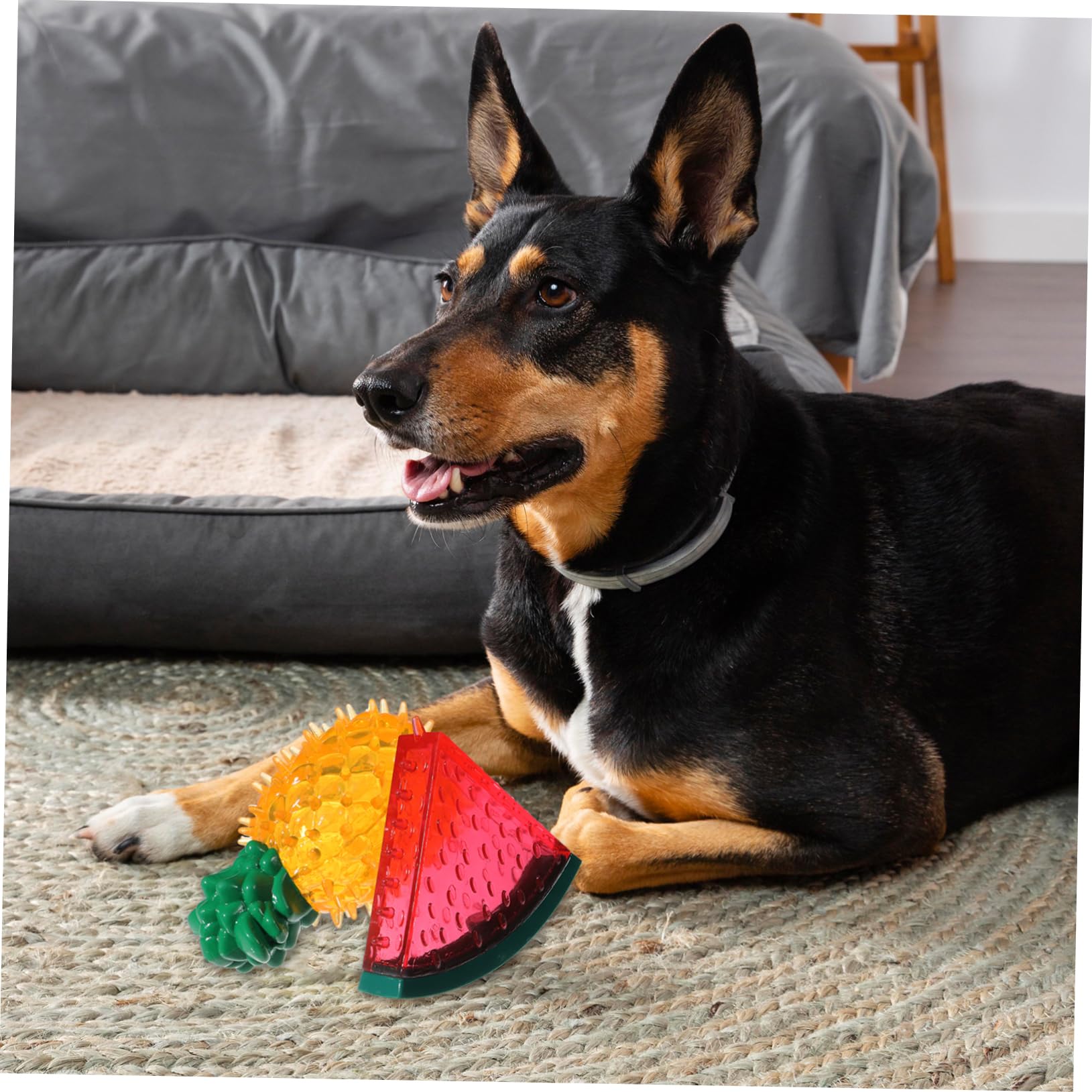 Toddmomy 6pièces Jouet à Mâcher pour Chien Forme De Fruits Jouet De Congélation pour Chiens pour Teething