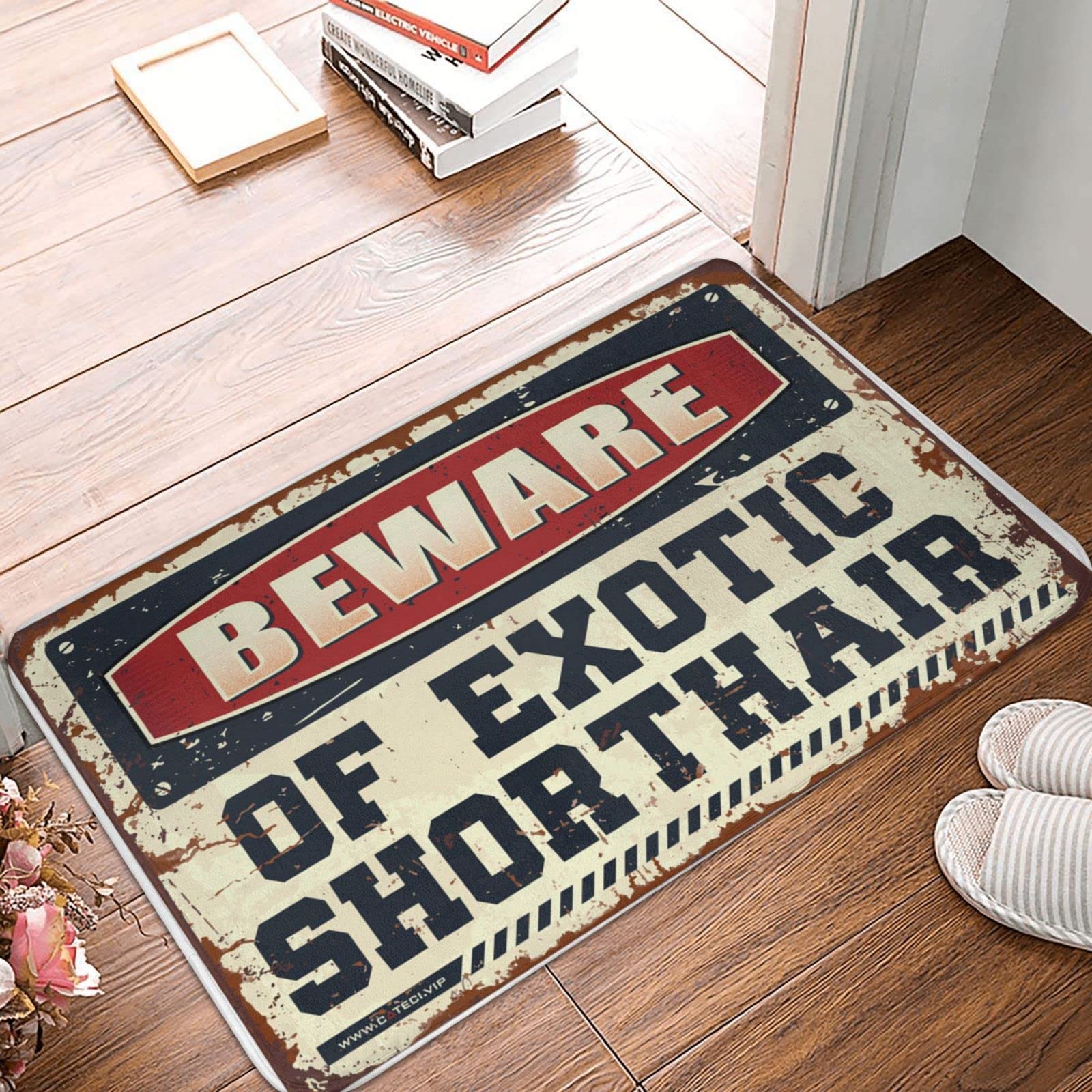 Felpudo interior gato Exótico Pelo Corto alfombra de bienvenida decorativa 50 x 80 cm
