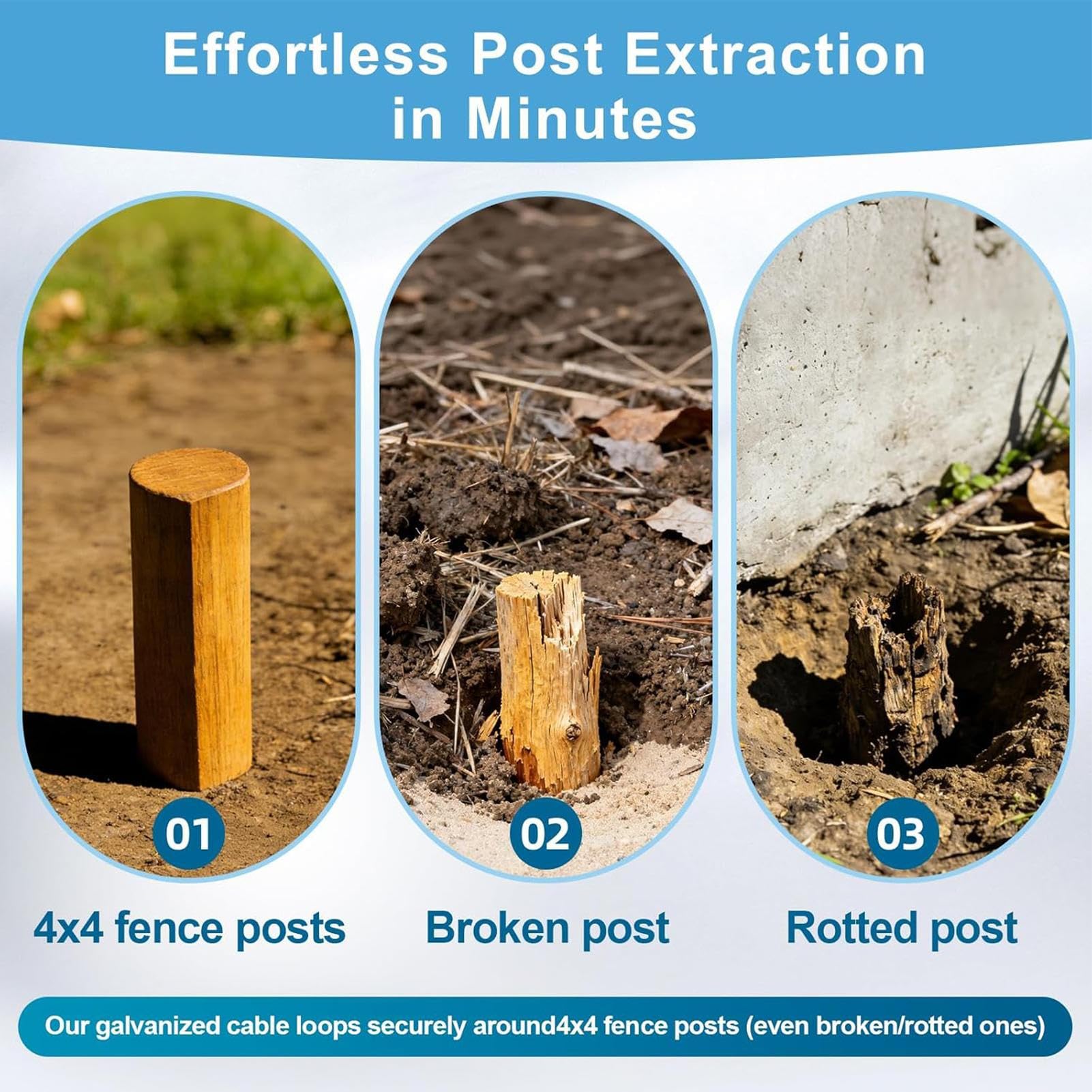View 5