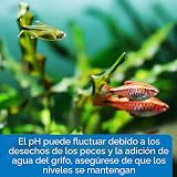 Ver la foto 5
