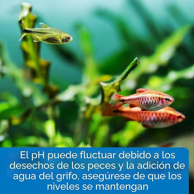 Foto 5 de 7 de API - Kit de Pruebas de Agua Salada para Acuario