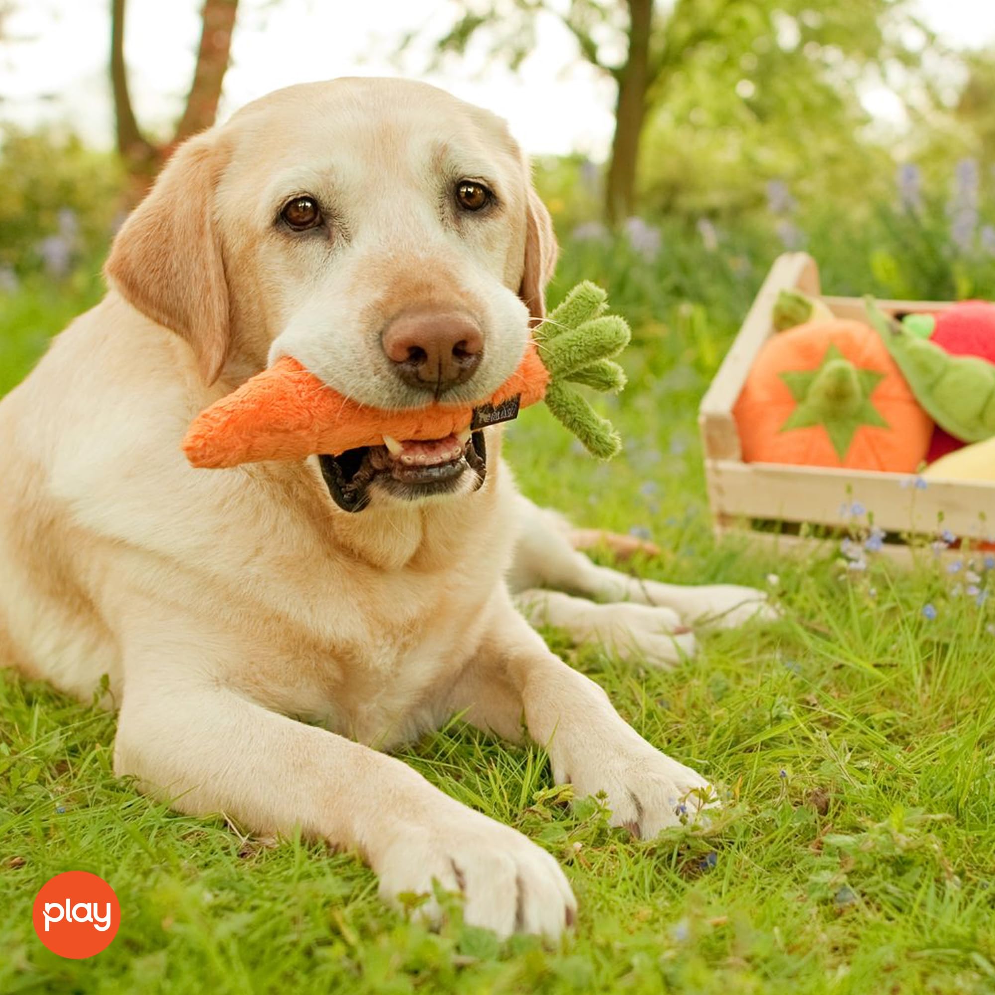 P.L.A.Y. PET LIFESTYLE AND YOU Pluszowa marchewka Mały model